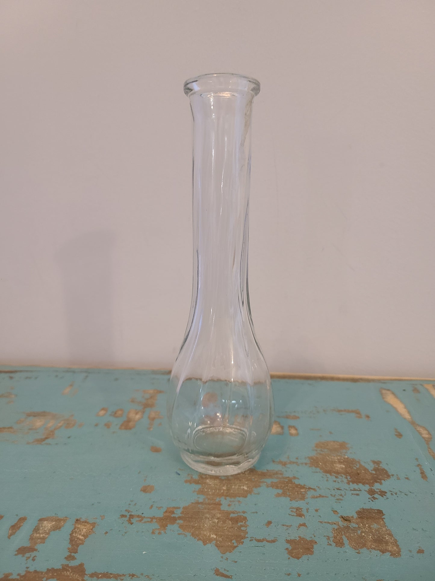 Plant Base Small Clear