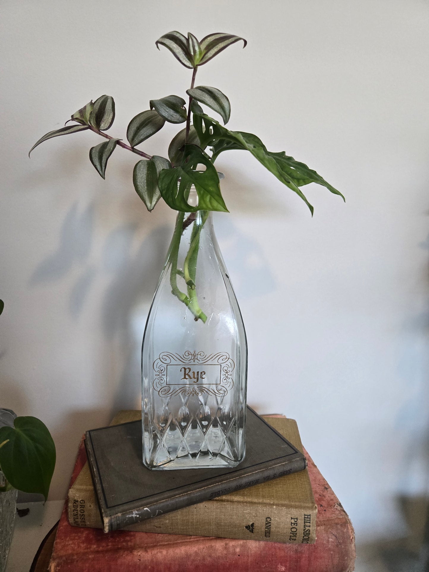 Plant Arrangements - Rye Whiskey Decanter