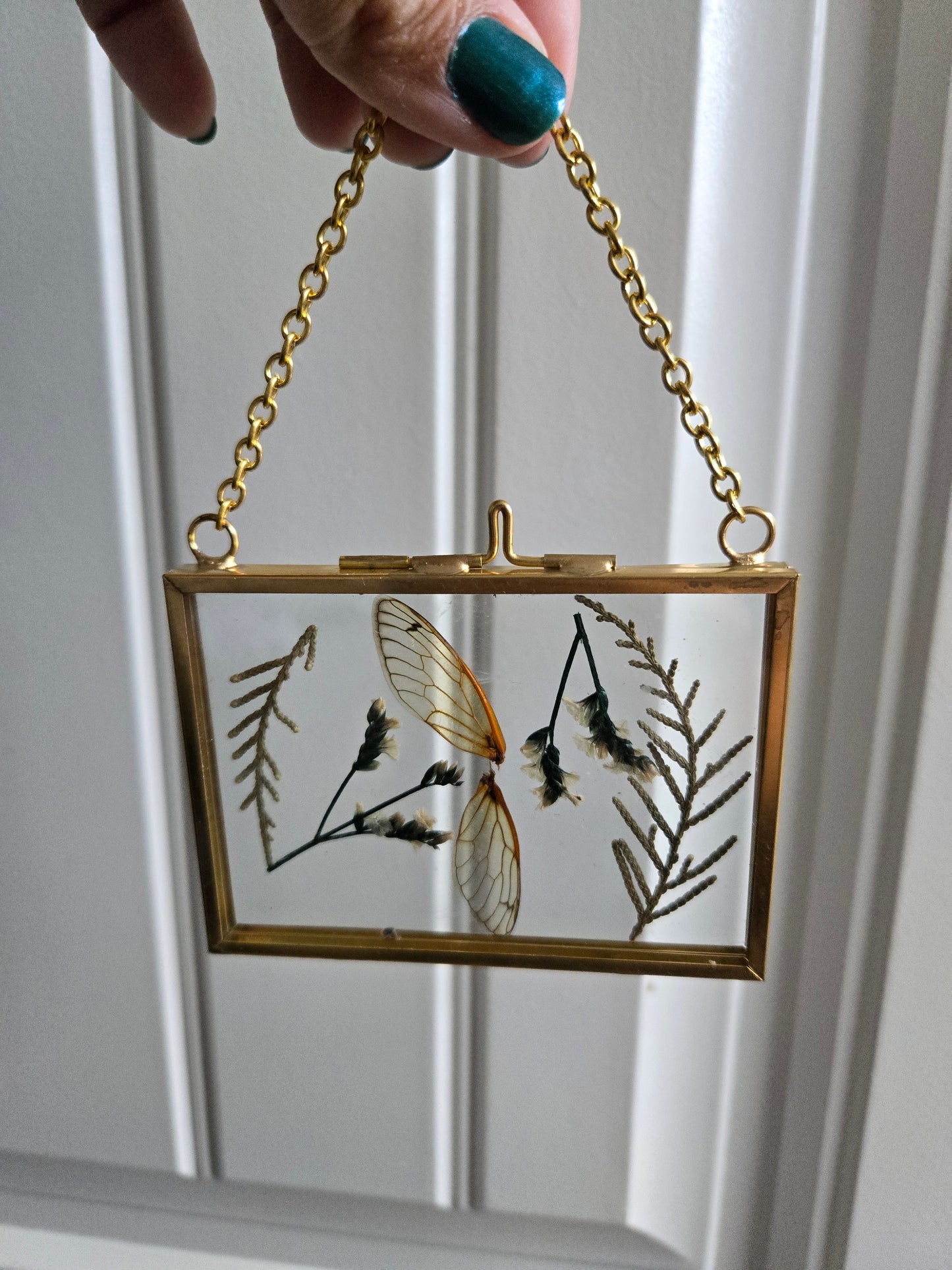 Wings and Branches Suncatcher