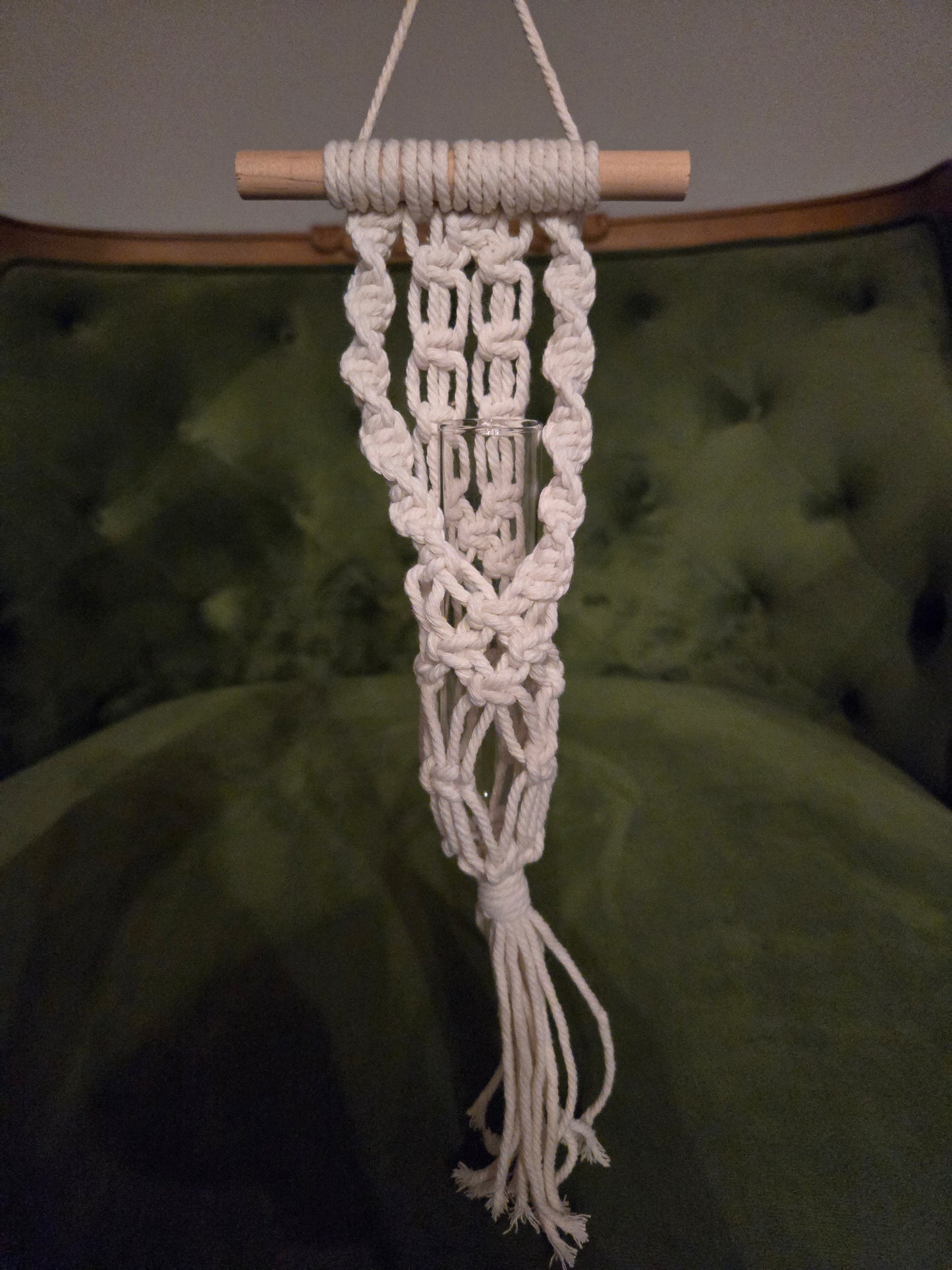 Macrame Test Tube Propagation