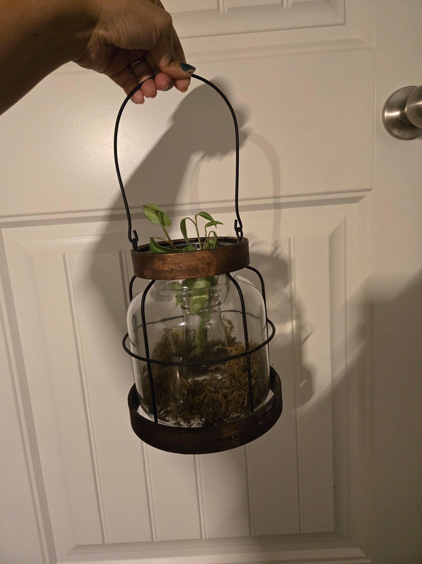 Waterculture Lantern