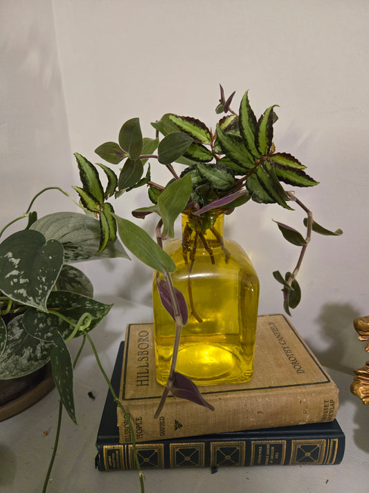 Yellow Vase Arrangement